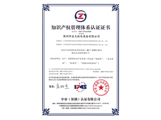 Intellectual property right